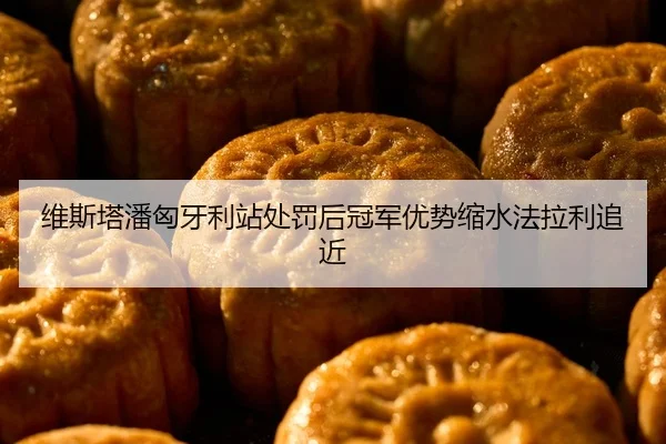 维斯塔潘匈牙利站处罚后冠军优势缩水法拉利追近